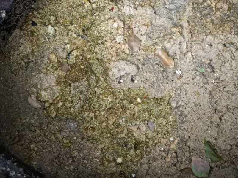 松江区新浜镇附近专业拆装淋浴房维修冷热水管换八字阀喷头软管